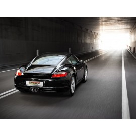 Catalyseur Métallique 200cpsi + Silencieux Duplex PORSCHE CAYMAN 2.7I (180KW) 2006 - 2008