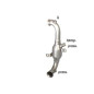 Catalyseur + tube remplacement filtre à particules groupe n en inox Peugeot 207 1.6HDI (82KW) 2010 - 2012